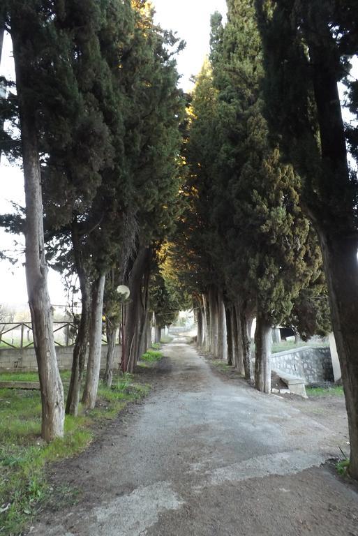 Ostello Il Volto Potenza Exterior foto